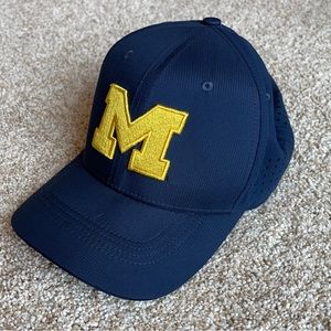 Jordan Michigan Fitted Hat - Size Medium